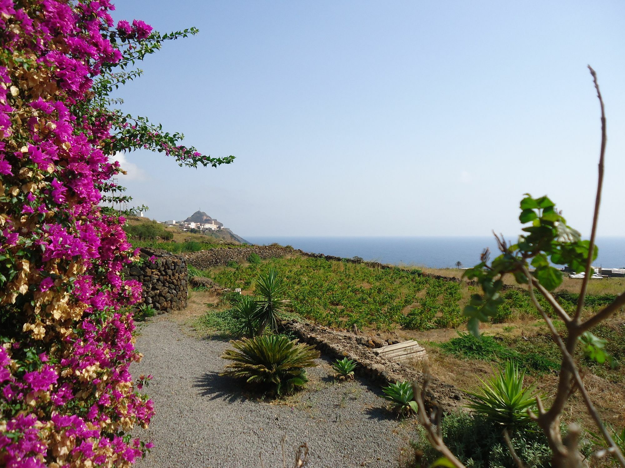 Agriturismo Zibibbodoro Scauri  Екстериор снимка